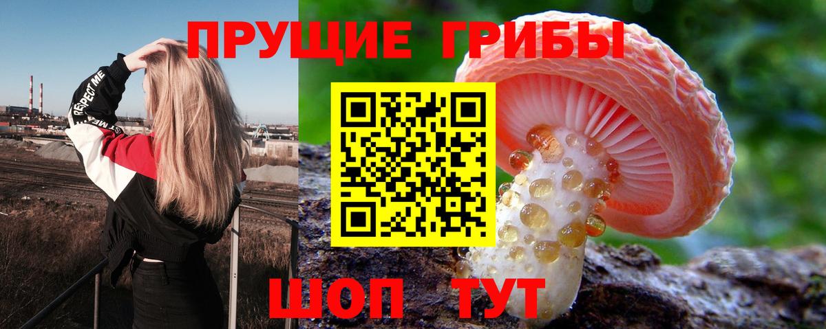 Псилоцибиновые грибы мухоморы Казань