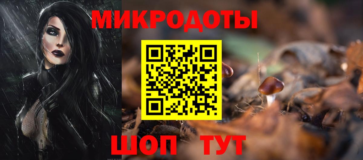 Казань  Псилоцибиновые грибы Cubensis  даркнет сайт  Вход с VPN 
